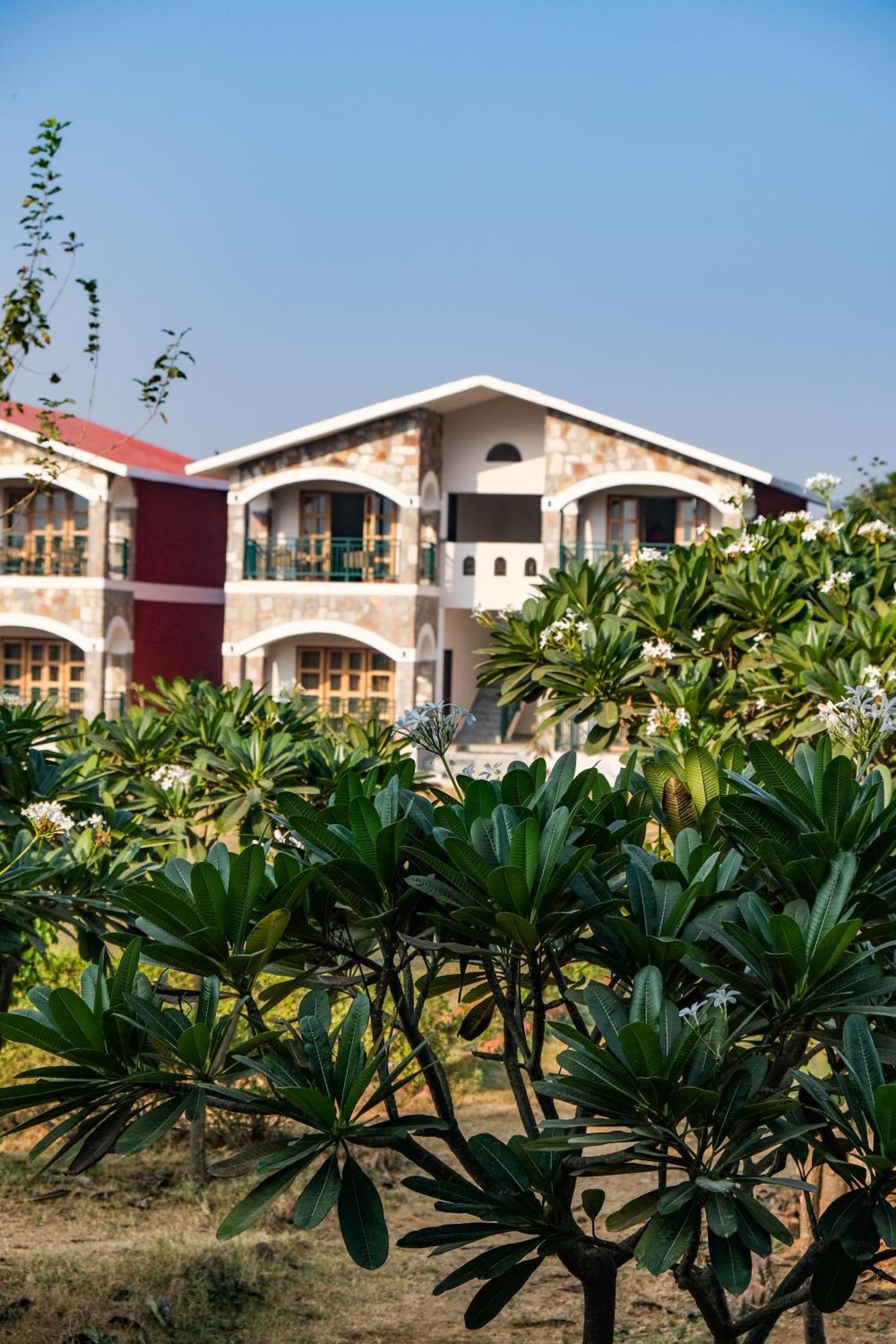 Hotel The Sariska Retreat Thana Ghazi Zewnętrze zdjęcie